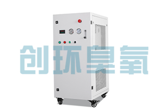 河北石斑鱼养殖水质调控完整指南：臭氧发生器配置与操作步骤