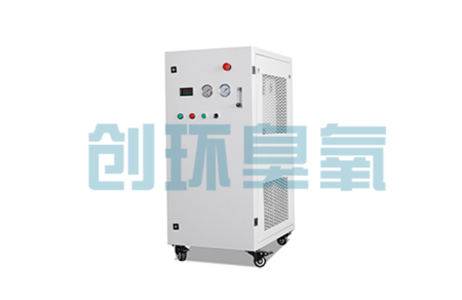 河北比传统换水更高效？臭氧发生器在石斑鱼养殖中的水质净化原理解析