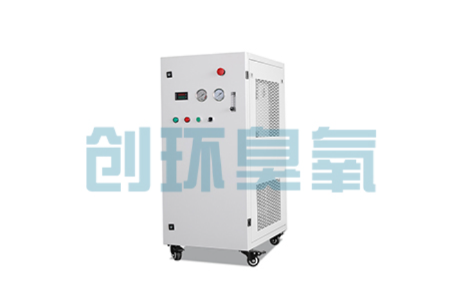 河北比传统换水更高效？臭氧发生器在石斑鱼养殖中的水质净化原理解析
